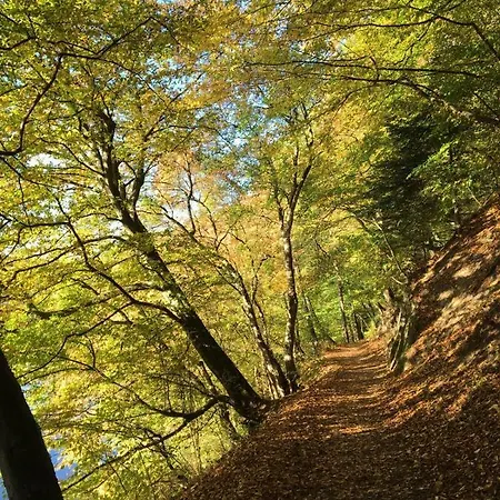 Restaurant Buergerstube 3*