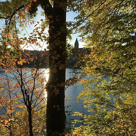 Restaurant Buergerstube 3* Ulmen