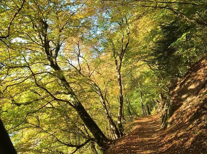 Restaurant Buergerstube 3*